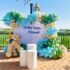Welcome Baby Decoration : Rj Events & Party Planner