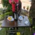 Food Install : RJ Events & Party Planner