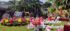 Theme Decorators in Kanpur : Rj Events & Party Planner