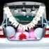 Birthday Surprise Car-Boot-decor : Rj Events & Party Planner
