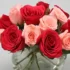 Exotic Mixed Roses & Dairy Milk : RJ Events & Party Planner